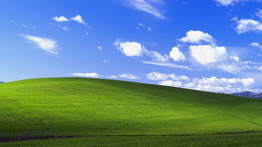 Безмятежность - стандартные обои рабочего стола Windows XP