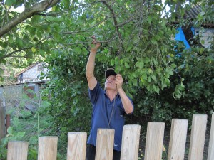 Дядя Володя