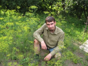 Я на огороде