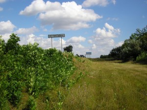 Въезд в Ротмистровку
