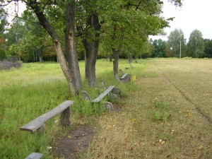 Скамейки на стадионе